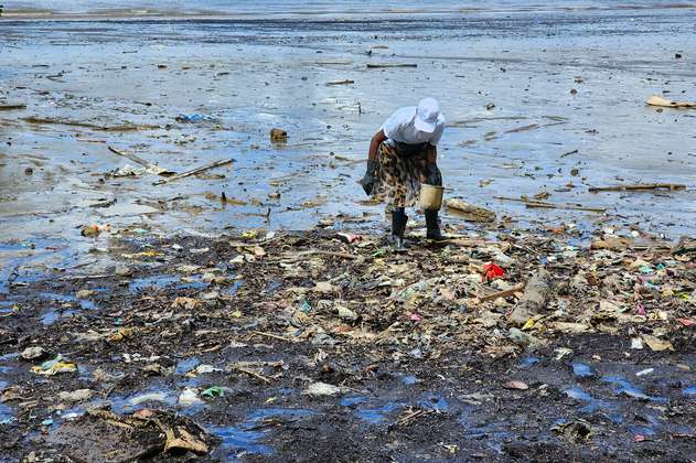 Esta organización evita que toneladas de basura queden en las playas de Colombia