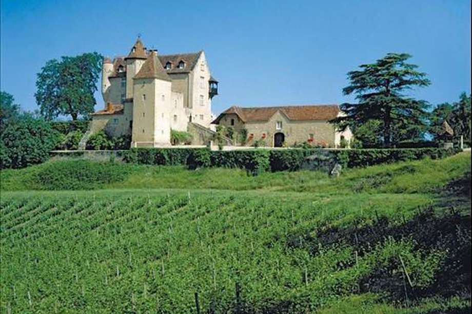 El castillo de Castelmore, conocido popularmente como Castillo D’Artagnan, inspiró al escritor Alexandre Dumas a escribir "Los Tres Mosqueteros". Está ubicado al suroeste de Francia y fue puesto en venta hace dos años.
