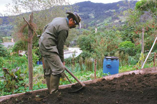 Raíz de la montaña: un panorama de la agricultura familiar en Colombia
