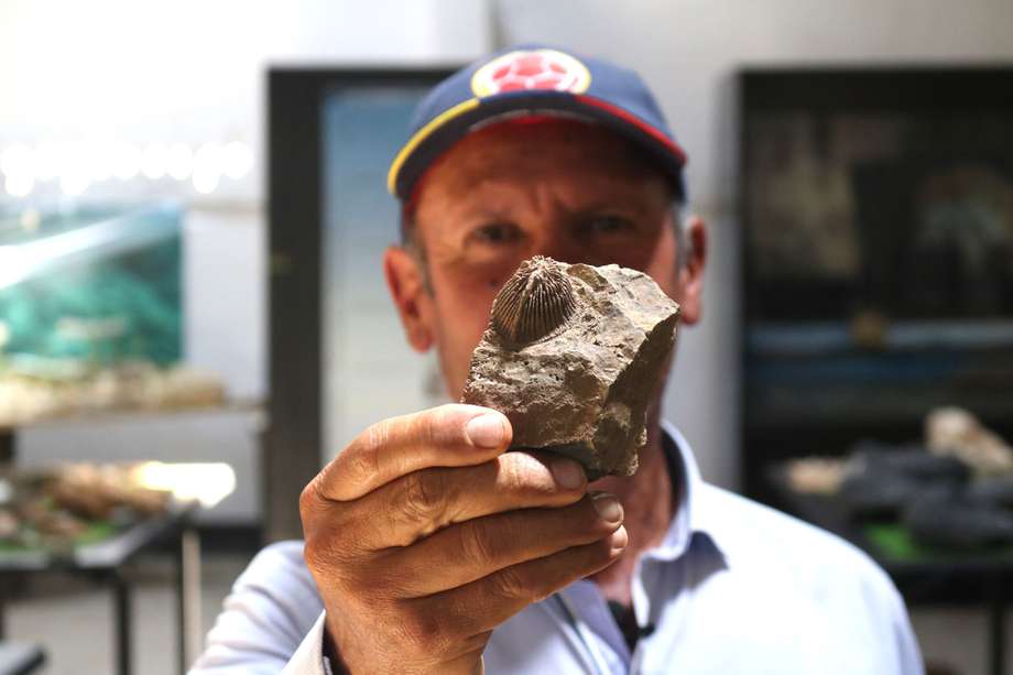 Luis Becerra sostiene el fósil de un coral solitario de cerca de 380 millones de años.