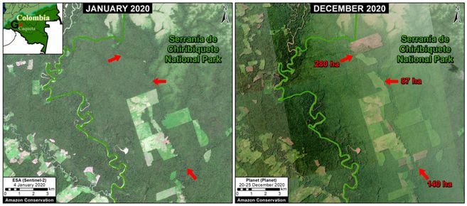 Deforestación en la Amazonía colombiana de más de 500 hectáreas en el Parque Nacional Chiribiquete entre enero (panel izquierdo) y diciembre (panel derecho). Datos: ESA, Planet.