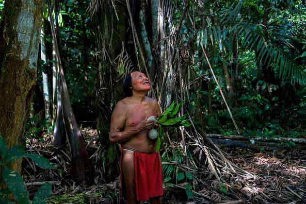 Para una tribu amazónica, la selva es un mundo infinito