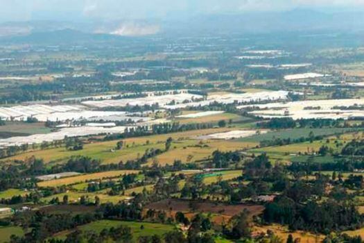 Parque ecológico urbano más grande de A. Latina quedará ubicado en norte Bogotá