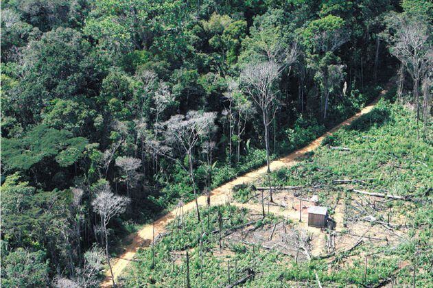 Operativo militar contra la deforestación en la Amazonia levanta ampolla 