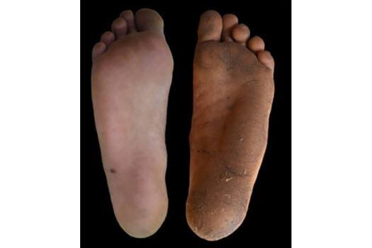 Diferencia entre uno de los participantes habitualmente calzado (izquierda) y otro normalmente descalzo (derecha). / Daniel Lieberman