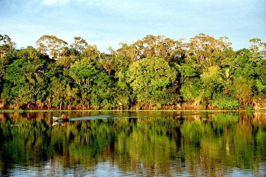 Con esta decisión, la región de la Amazonía, al igual que el río Atrato, es sujeto de derechos. / Flickr - Andre Deak