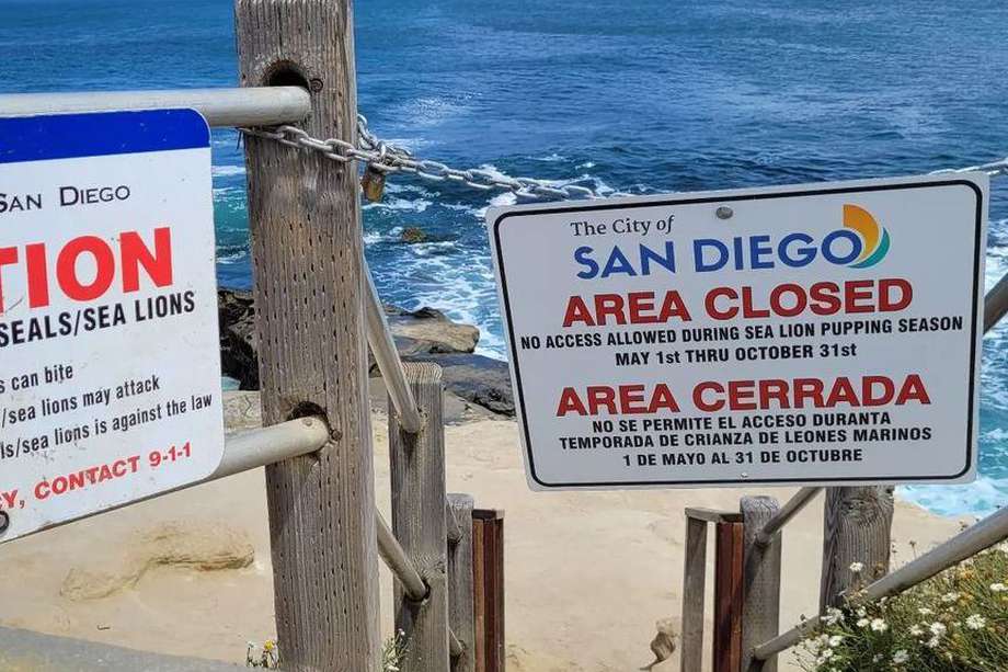 La popular playa Point La Jolla y sus partes adyacentes, como Boomer Beach, en California, permanecerán cerradas hasta el 2030.