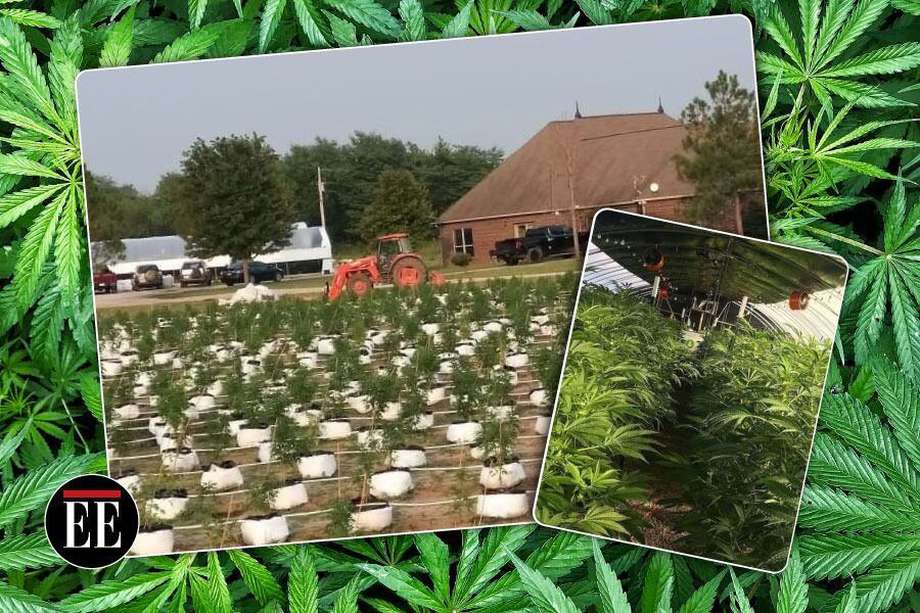 Cultivo de marihuana legal en Claremore, Oklahoma.