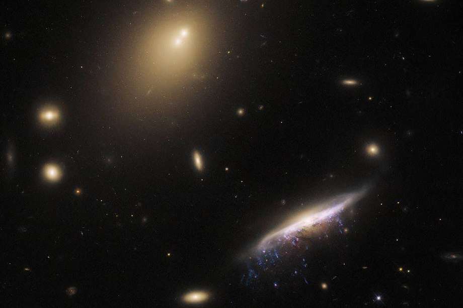Los dos puntos brillantes en la parte superior de la imagen, son el núcleo de IC 5338, la galaxia más brillante del cúmulo que también alberga a JW100, a la derecha de la imagen.