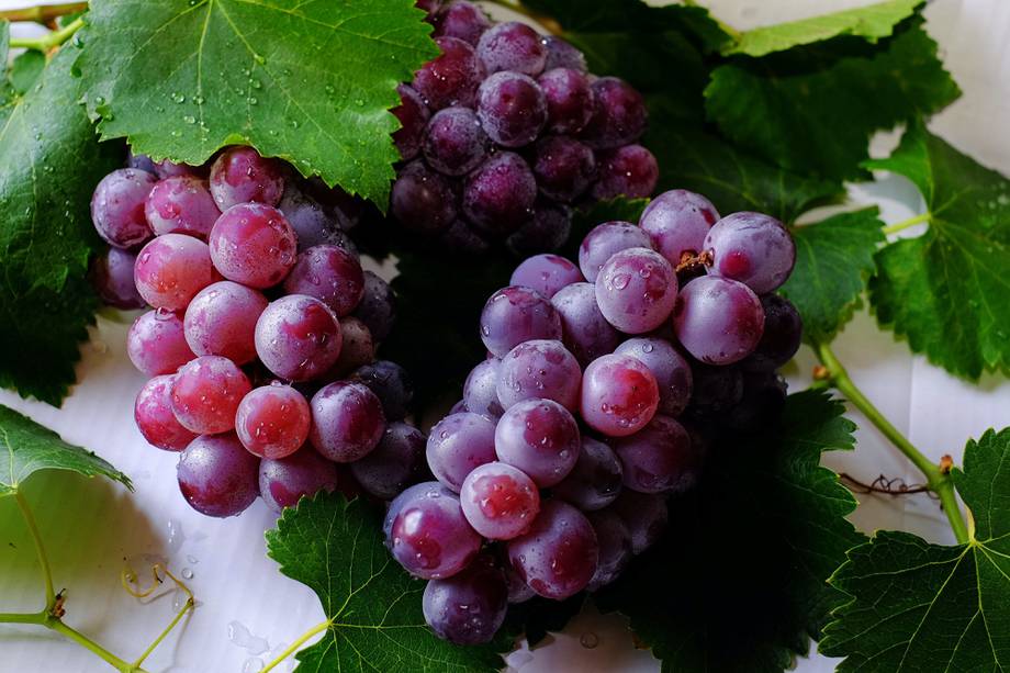 Uvas y arándanos: ¿Qué beneficios tiene consumir estos alimentos?