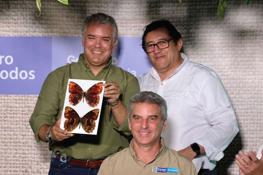 Una mariposa recién descubierta será bautizada en honor al saliente presidente, Iván Duque.