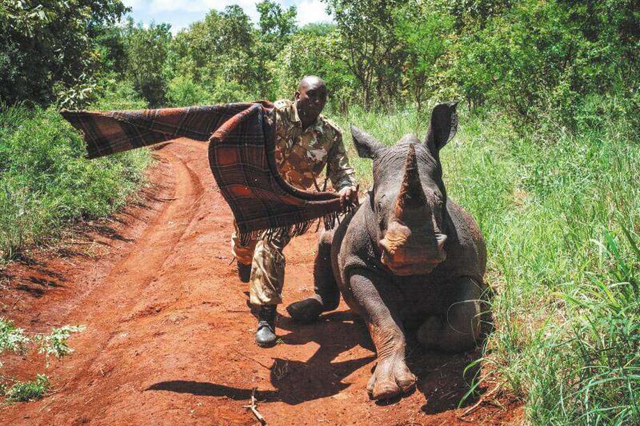 Las polémicas prácticas de WWF en África y Asia