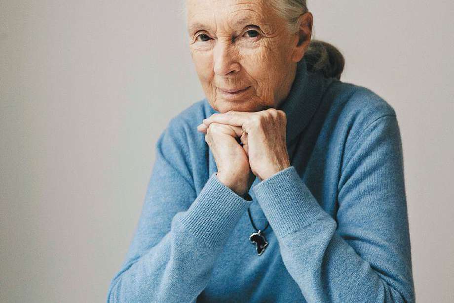 Jane Goodall, primatóloga británica. / AP