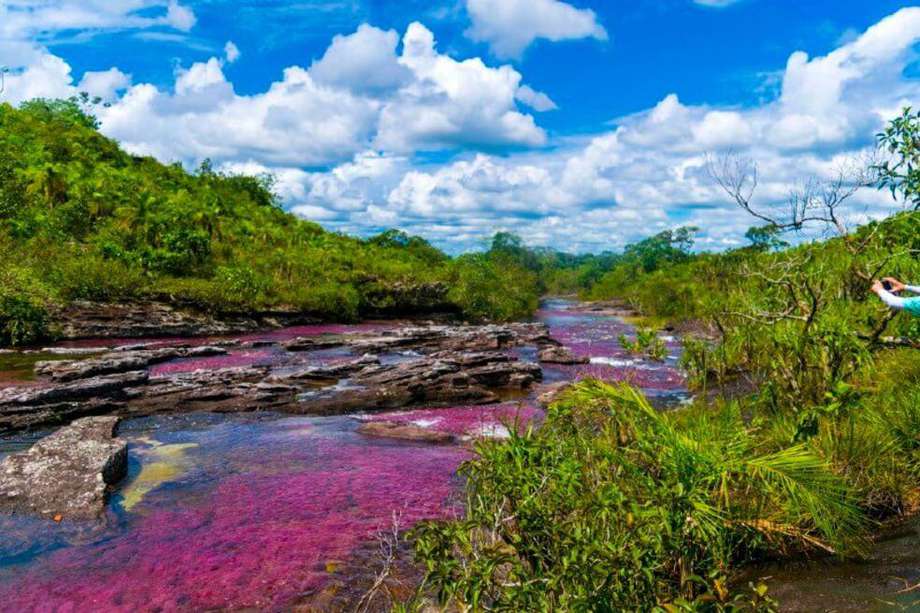 Caño Cristales, considerado por muchos como el “Río más hermoso del mundo”, está ubicado en La Macarena, Meta.