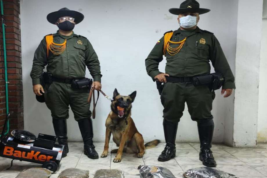 Hace pocos días, otro perro del Grupo de Carabineros y Guías Canino había incautado 9335 gramos de cocaína. 