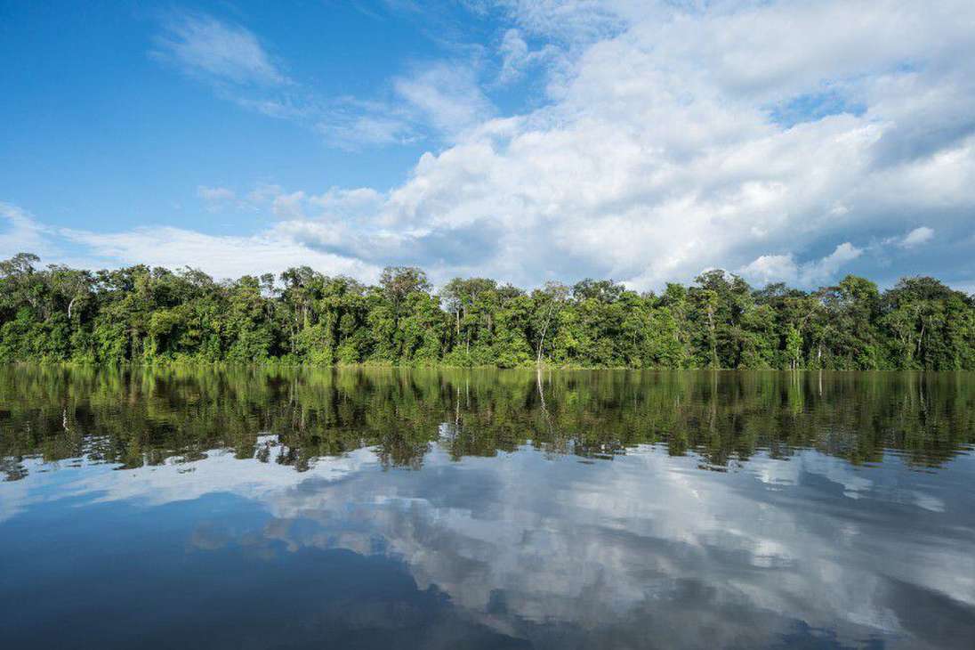 La biodiversidad de esta región es inigualable. Solo en Colombia, la Amazonia alberga 674 especies de aves, 158 de anfibios, 195 de reptiles, 212 de mamíferos, de 753 peces y más de 6.300 plantas.
