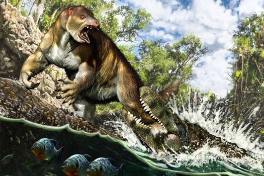 Ilustración del ataque de un "Purussaurus" al perezoso  "Pseudoprepotherium" en un pantano de la proto-Amazonia, hace 13 millones de años.