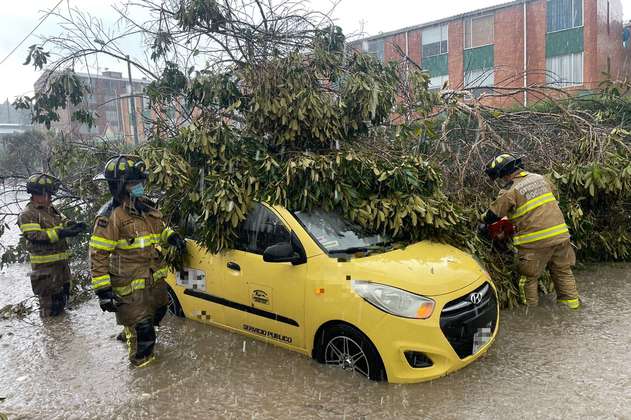 Por fuertes lluvias en Bogotá, un árbol cayó sobre un taxi