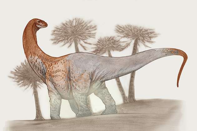 Nueva especie de dinosaurio gigante encontrada en la Patagonia