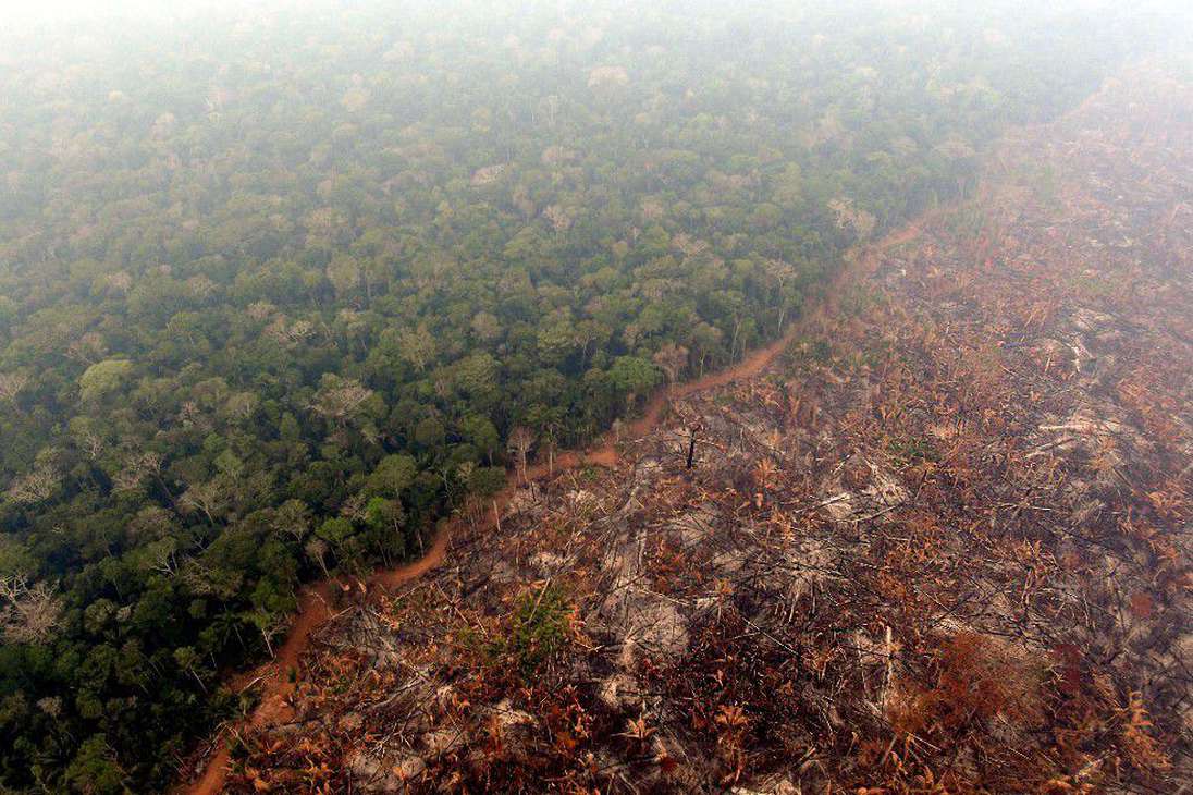 Varias ONG´s han denunciado que la deforestación y los incendios forestales se han disparado bajo la administración del presidente de Brasil, Jair Bolsonaro.