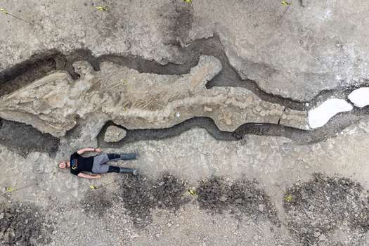 Este es el fósil de ictiosaurio encontrado en Reino Unido. Se estima que tiene 180 millones de años.
