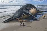 Encontraron el fósil del reptil marino que sería el más grande del mundo