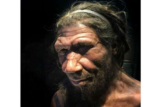 El hombre de Neandertal habitó Europa, Próximo Oriente y Medio y Asia Central hace 230.000 y 28.000 años.  / Allan Anderson
