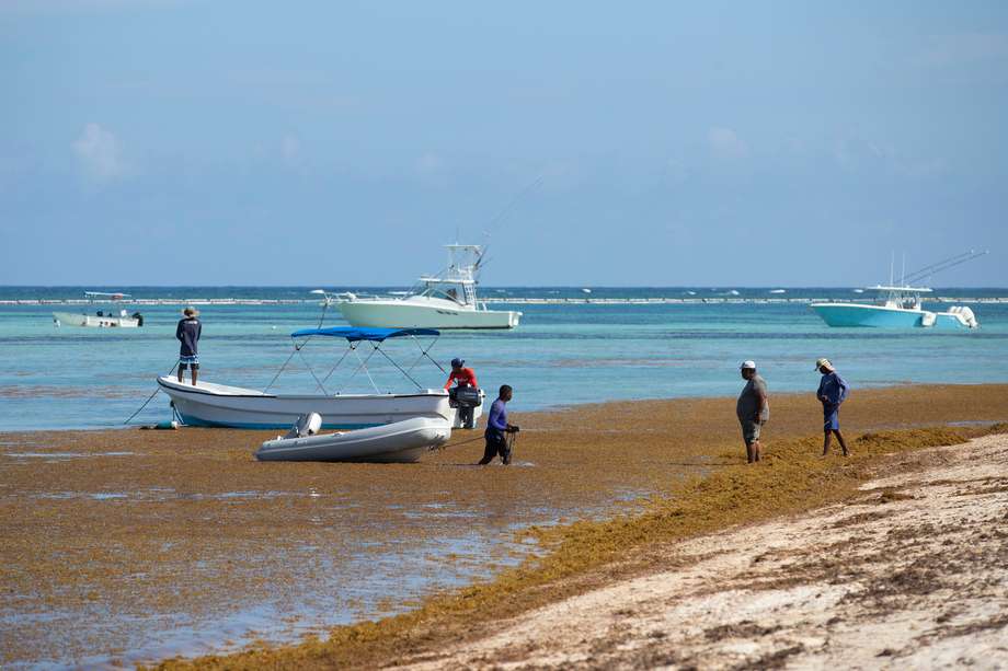Hombres quitan el sargazo de una playa para mantenerla limpia en Punta Cana (República Dominicana), uno de los países afectados por la llegada masiva del alga. 