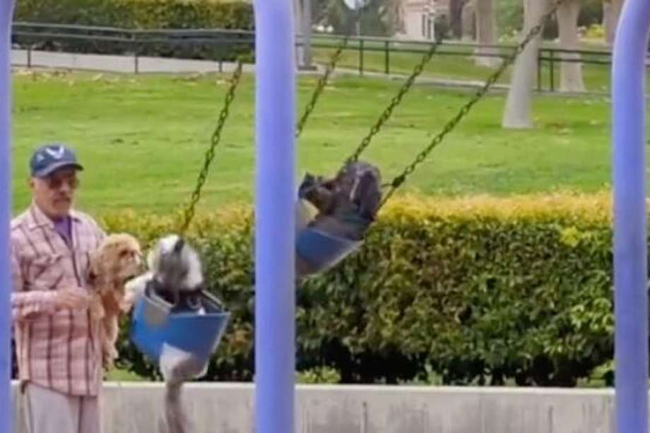 Algo tan sencillo como jugar en el parque, capturó la atención de la comunidad en redes sociales. Pues, el abuelito lo hacía con sus tres perritos en una tarde soleada.