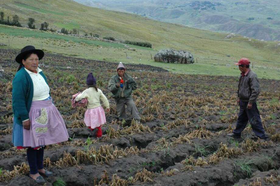 Una mutación genética permite a pobladores del centro del Perú vivir a más de 4000 metros y abre perspectivas de tratamiento para enfermedad crónica de altura.
