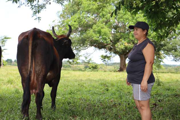 Liderazgo femenino e innovación revolucionan la producción de queso artesanal en Caquetá