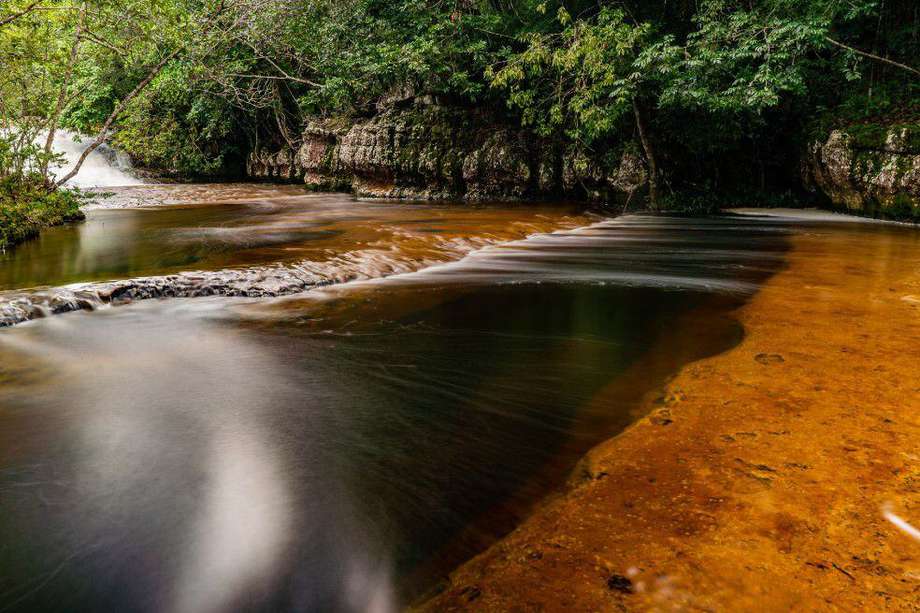 El bioma Amazónico tiene un rol primordial en la regulación del clima regional en Sudamérica y provee cerca del 20% del agua dulce del planeta.