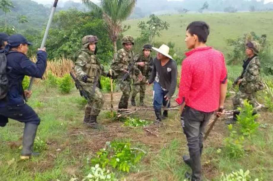 En la tutela presentada por varias organizaciones campesinas se documentarion violaciones a los derechos de la comunidad por parte de militares en medio de operativos de erradicación forzada de coca.
