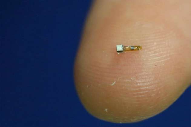 ¿Se implantaría un chip en el cerebro?