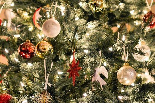 Navidad, árbol de navidad, novena de aguinaldo. Novena de aguinaldos 2020 - Día 2: oraciones y cantos para este 17 de diciembre