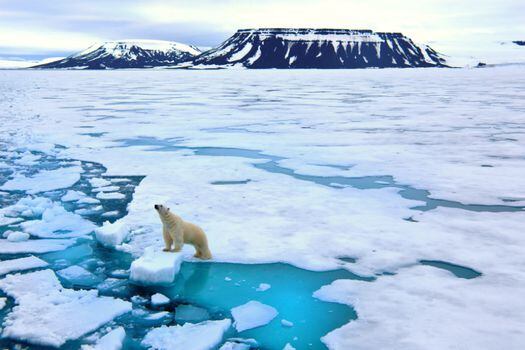 Dos tercios de los 61.045 km de extensión de Svalbard son área natural protegida. / Getty Images