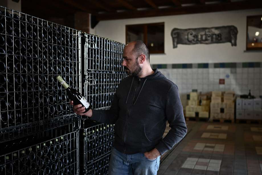 Marco Dogliotti, de la familia propietaria de la bodega La Caudrina, observa una botella de vino espumoso de Asti el 25 de marzo de 2022 en Castiglione Tinella, al noroeste de Italia.