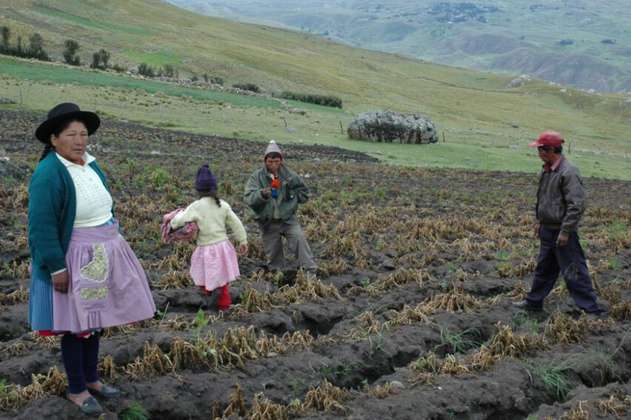 La mutación genética que permite a los quechuas vivir a 4.000 metros de altura