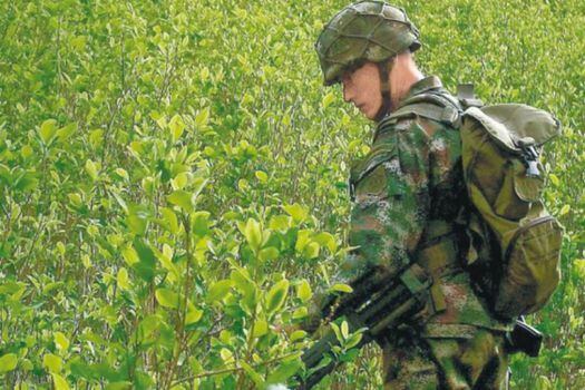 El informe señaló las cuatro generaciones de narcotraficantes que ha tenido Colombia en su historia. / Archivo El Espectador
