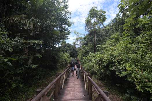 El Parque Nacional Natural Ensenada de Utría (Pacífico colombiano) tiene bosque húmedo tropical, estuarios, manglares, y una amplia biodiversidad de flora y fauna. 