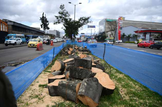 Tala y traslado de árboles, lo que no se tuvo en cuenta en las obras de Bogotá