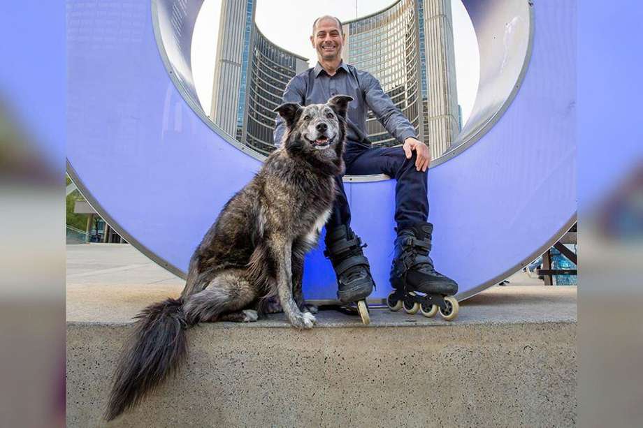 El propietario de la perra de rescate Molly, Toby Heaps, dijo que su acompañante “conducirá a un discurso más civilizado” en la alcaldía de Toronto, Canadá.