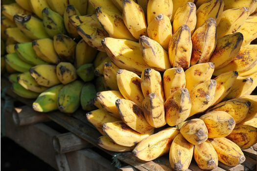 Actualmente la especie más cultivada se llama Cavendish, y aunque es más pequeña que la Gros Michel, es más resistente al hongo que causa la enfermedad de Panamá, la principal amenaza de los cultivos de banano en el mundo. (Imagen de referencia) / Pixabay