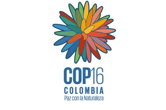 La emblemática flor de Inírida será la imagen oficial de la COP16 en Cali