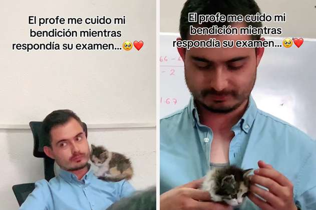 Profesor se gana el corazón de sus estudiantes al cuidar al gato de una alumna