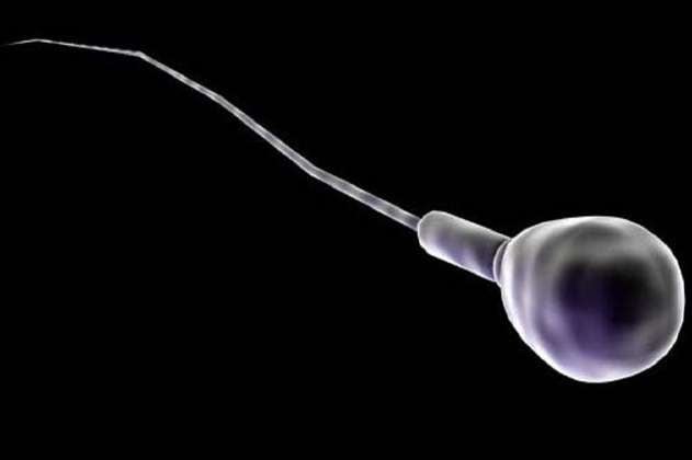 Un estudio detecta contaminantes orgánicos en el esperma de hombres sanos