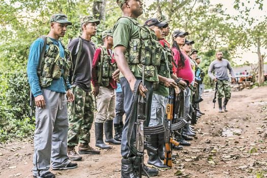 Guerrilleros de las Farc en formación militar en una zona veredal de normalización donde dejarán las armas. /El Espectador