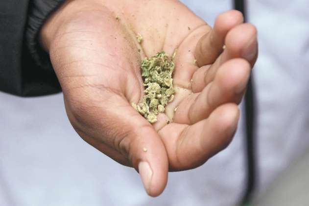 En Colombia se arman porros con nueve híbridos de marihuana