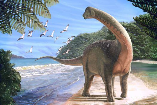 El "Mansourasaurus shahinae", una nueva especie de dinosaurio del Cretácico cuyos restos aportan nueva información sobre la vida de estos animales al final de su existencia.  / ANDREW MCAFEE / CARNEGIE MUSEUM OF NATURAL HISTORY / AFP