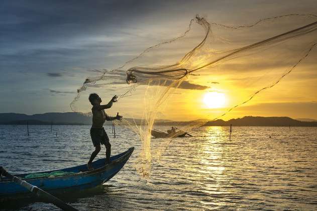 Un método para que la pesca sea menos traumática y sostenible